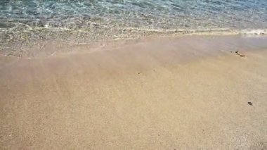 denizin dalgaları ile güzel kumlu plaj