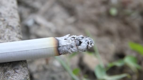 Cigarrillo ardiendo en el suelo — Vídeo de stock