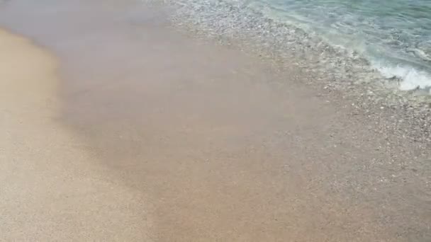 Красивый песчаный пляж с волнами в море — стоковое видео