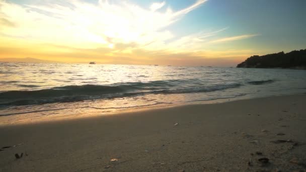 Beautiful sunset sandy beach with waves in the sea — Stock Video