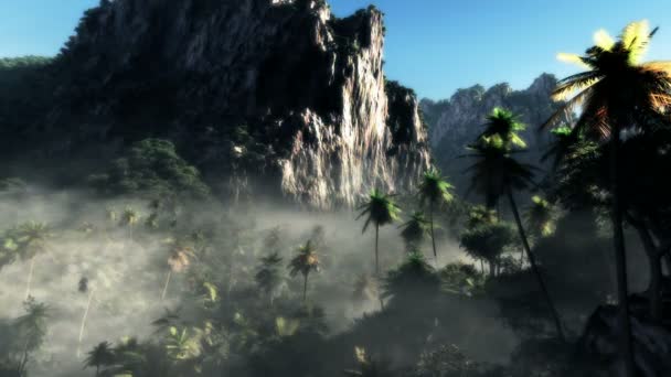 Forêt tropicale dans le brouillard — Video