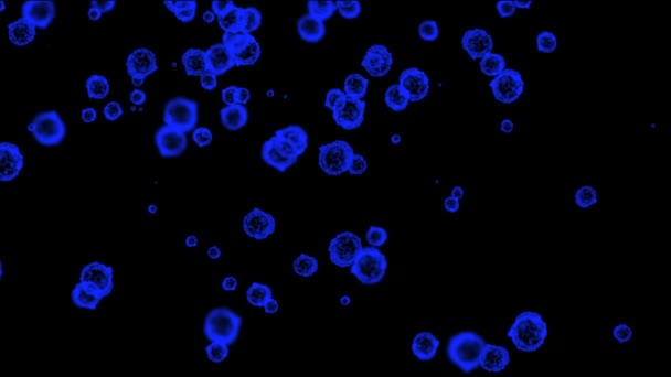 Makrovirus blau — Stockvideo