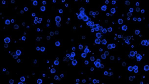 Макровирус синий — стоковое видео