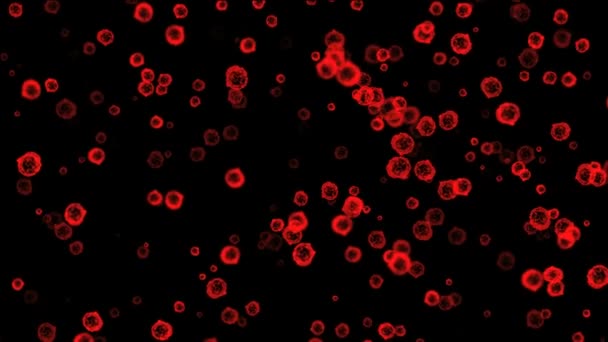 宏病毒红色 — 图库视频影像