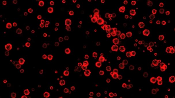 Macro virus rosso — Video Stock