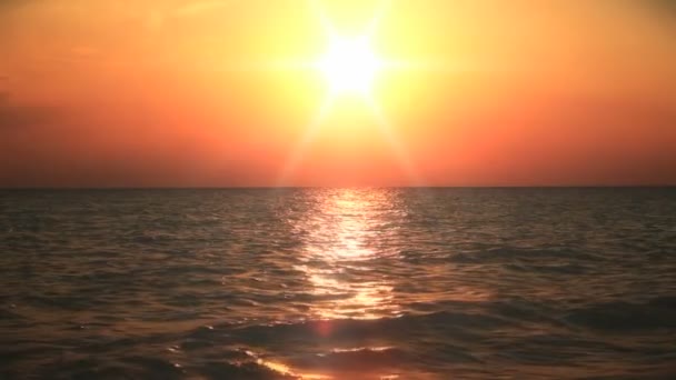 Coucher de soleil or mer vague — Video