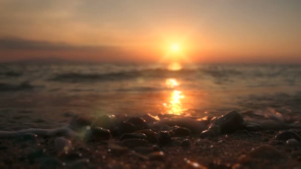 Coucher de soleil or mer vague — Video