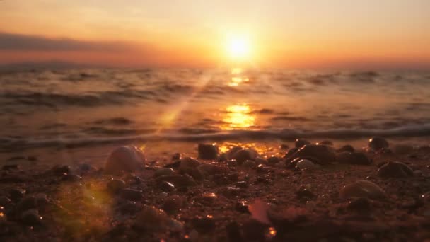 Gold Sonnenuntergang Meereswelle — Stockvideo