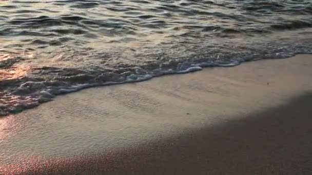Ola puesta de sol playa — Vídeo de stock