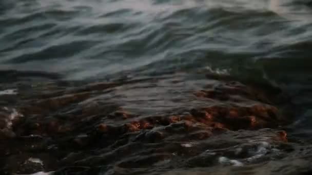 Olas golpean mar acantilado — Vídeos de Stock