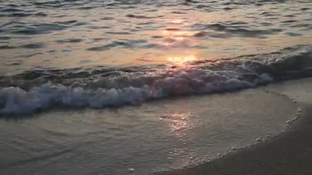 Κύμα χρυσό ηλιοβασίλεμα παραλία — Αρχείο Βίντεο