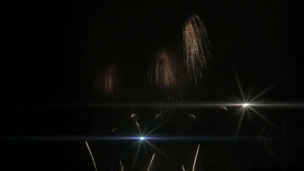 밤 하늘에 대 한 불꽃놀이 — 비디오