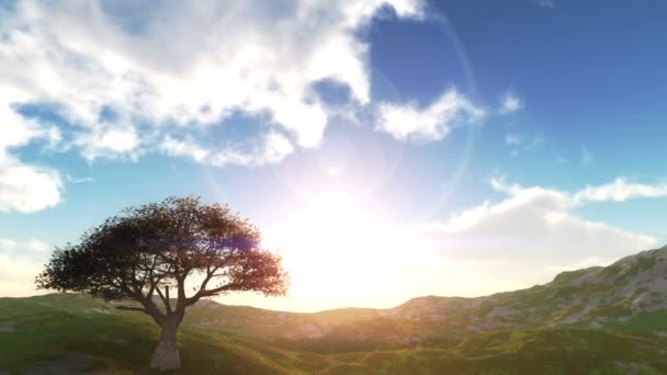 coucher de soleil dans prairie et arbre 