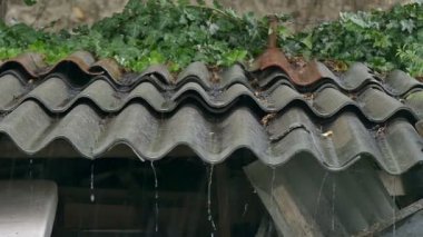 Çatı ağır çekimde yağmur