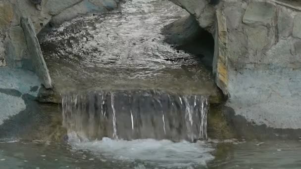 Fountain stream slow motion — Stock Video