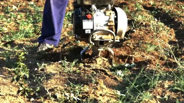 Ручний міні трактор орає землю — стокове відео