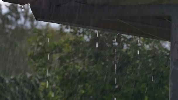 Az eső a tetőn lassú mozgás — Stock videók