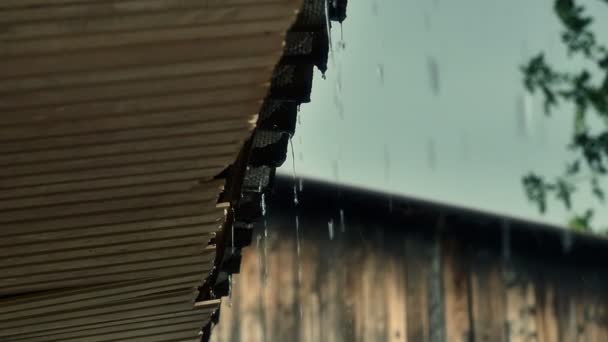 Regen in slowmotion dak — Stockvideo