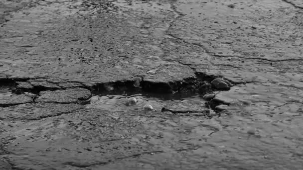 Regn stänk på trottoaren eller asfalt — Stockvideo