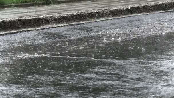 Rain splashes on the pavement or tarmac — Stock Video