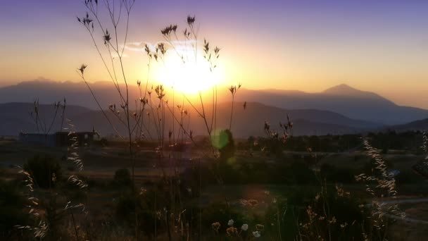 Теплый закат над полями замедленной съемки — стоковое видео