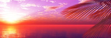 Gün batımı deniz palmiyesi çizimi, 3D görüntüleme