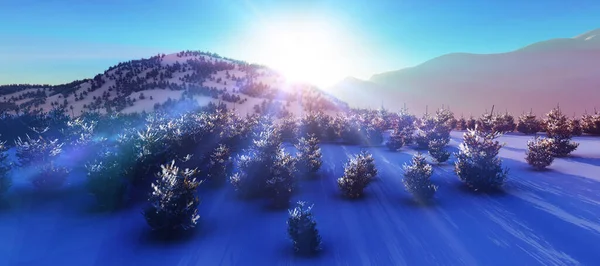 Arriba Bosque Invierno Montaña Puesta Del Sol Representación Ilustración — Foto de Stock