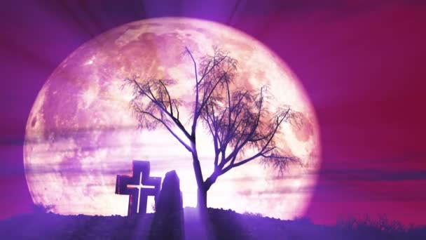 Full Moon Grave Tree Animation — Stock Video