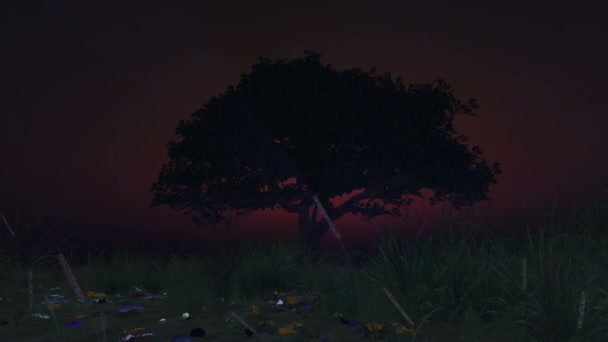 Samotne Drzewo Wschodzie Słońca Animacja — Wideo stockowe