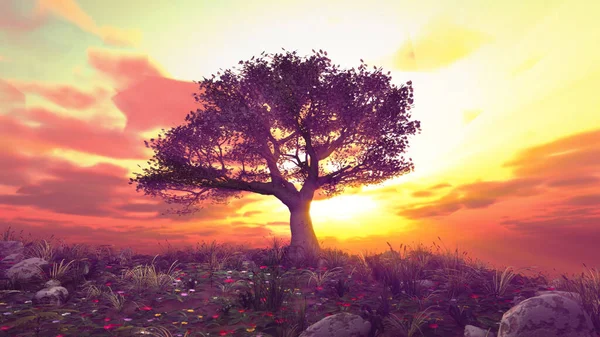 Strom Jaro Louce Západ Slunce Ilustrace Vykreslování — Stock fotografie