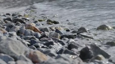 Sahildeki çakıl taşları makro 4K