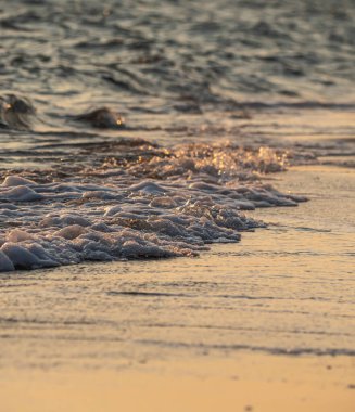 Dalgalar deniz kıyısı makrosu sıçratıyor. Yaklaş.