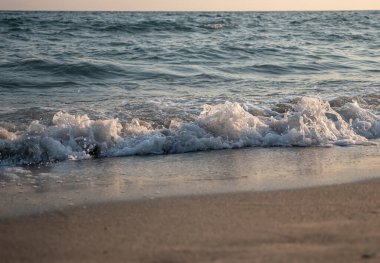 Dalgalar deniz kıyısı makrosu sıçratıyor. Yaklaş.