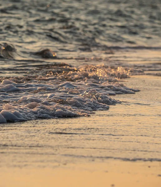 Dalgalar deniz kıyısı makrosu sıçratıyor. Yaklaş.
