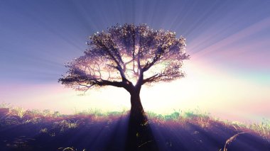 Çayırdaki ağaç baharı gün batımı illüstrasyonu, 3 boyutlu görüntüleme