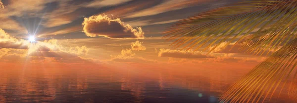 Sonnenuntergang Meer Palme Landschaft Illustration Render — Stockfoto