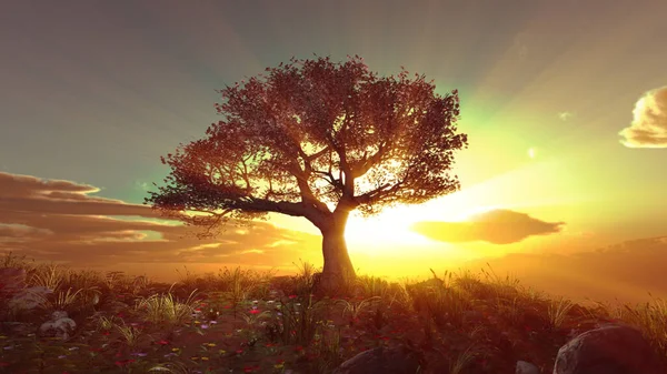 Strom Jaro Louce Západ Slunce Ilustrace Vykreslování — Stock fotografie