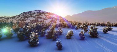 Kış Ormanı 'nın tepesinde gün batımı 3 boyutlu resimleme