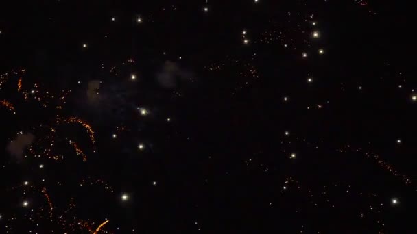 Kleurrijk Vuurwerk Holiday Night Sky — Stockvideo