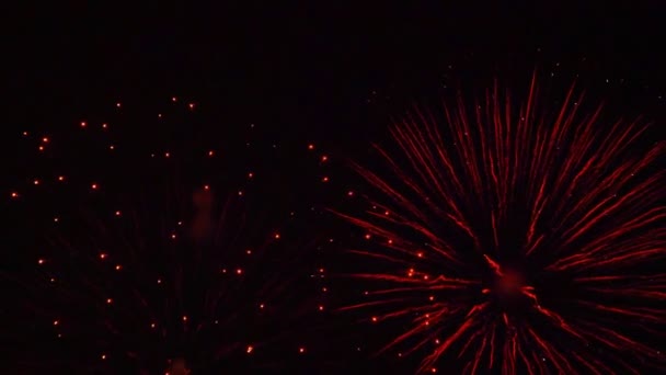 Kleurrijk Vuurwerk Holiday Night Sky — Stockvideo
