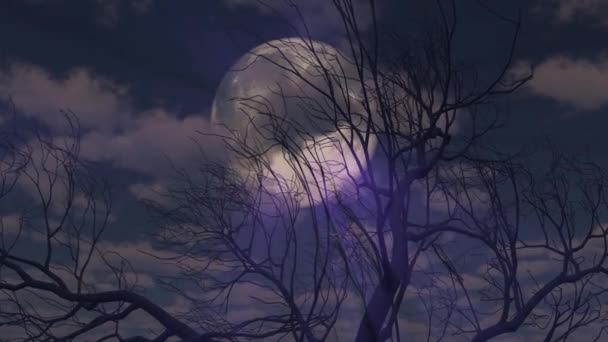 Lune Lève Travers Les Nuages Arbre — Video