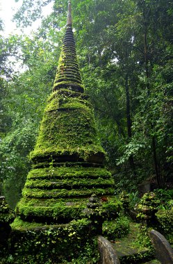 Moss Stupa