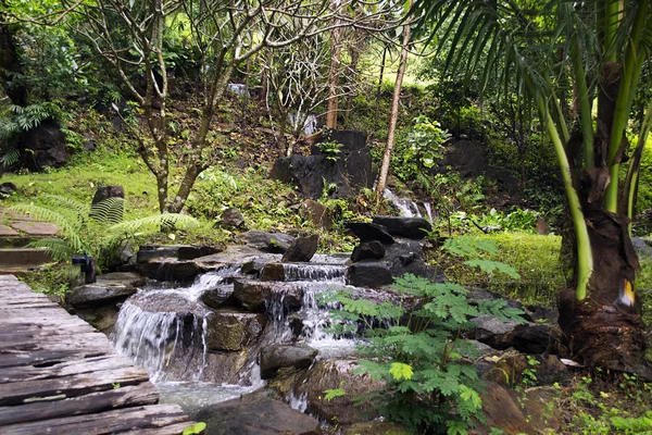 Wasserfall im Dschungel — Stockfoto