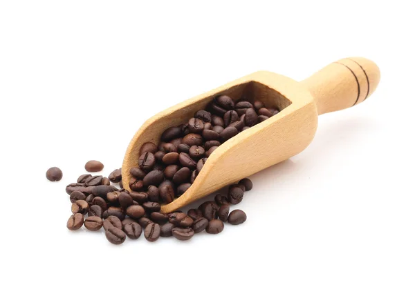 Coffee beans — Stock Photo, Image