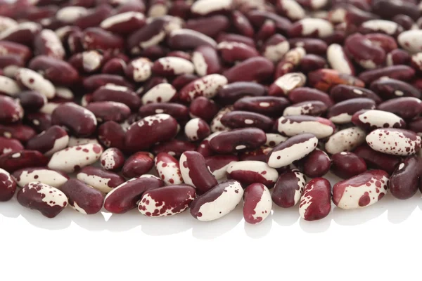 Ruwe organische cranberry bean — Stockfoto