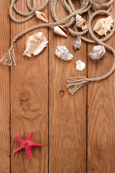 Conchas de corda estrela do mar em tábuas de madeira — Fotografia de Stock