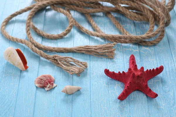 Rope shells starfish — Stock Photo, Image