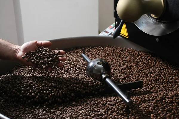 Крупный план жареных кофейных зерен — стоковое фото