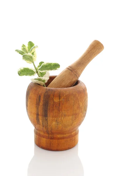 Mortar with fresh mint isolated — Stock Photo, Image