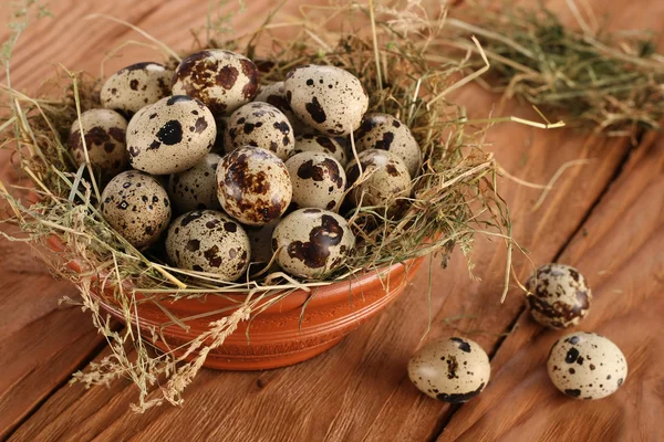 Перепелині яйця в глиняній мисці з сіном — стокове фото